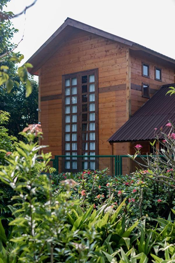 Villa The Pine Loft Bangalore Exterior foto